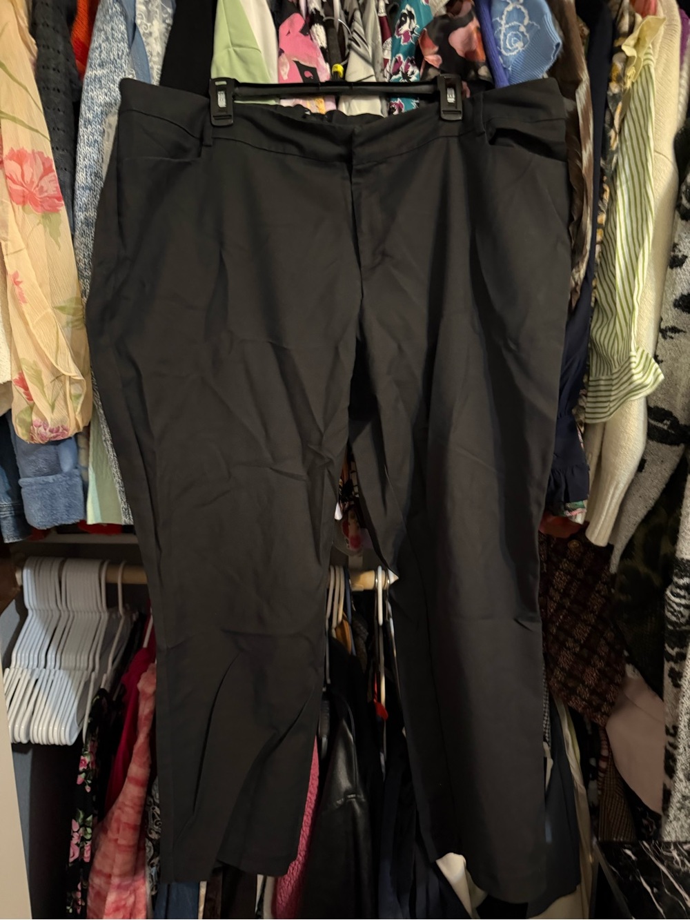 Eloquii ankle pants 22G